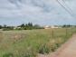 Terrain paraza 523 m� 0 pi�ces