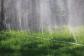 Gardena Arroseur souple vert 7,5 m de long