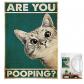 Affiche chat 30x40cm dr�le d�coration de la maison d�coration de chambre d'h�...