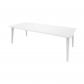 ALLIBERT JARDIN Table Lima 240 6 10 personnes avec allonge   Design contemporain