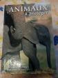 ANIMAUX � prot�ger Conna�tre & prot�ger les esp�ces en danger Livre B. De Wetter