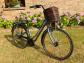 V�lo de ville dame mod�le FLOURISH 1 de marque GIANT �quip� SHIMANO  NEUf