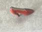 FEVE  CHAUSSURE ESCARPIN (2330)
