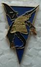 PINS MILITAIRE DU 2 DRAGONS NBC