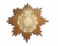 Casque � pointe, spikhelmet, pikkelhaub: Belle plaque mod�le 95 Troupe  Saxonne.
