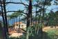 33 BASSIN D ARCACHON CHALET DANS LES PINS