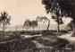 6 JUAN LES PINS LES NOUVEAUX JARDINS