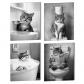posters amusants en forme de chat noir et blanc   D�coration murale de salle de
