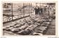 BCUP4 0447 30 Le Grau Du Roi Return From A Tuna Fishing Trip Postcard