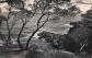 83 SAINT RAPHAEL BOULOURIS BAIE DE SANTA LUCIA LES PINS PENCHES