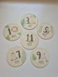 Cartes �tapes b�b� en bois 1 mois � 1 an motif animaux jungle Recto - Verso