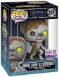 Funko Pop! Harry Potter Remus Lupin 201 Elite Edition Limit�e ENVOIE 24H