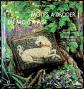 Motifs � Broder du Moyen Age de - by Candace Bahouth