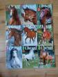Lot de 9 livres �quitation   cheval magazine tbe