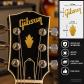 stickers autocollant gibson crown poup�e GUITARE HEADSTOCK decal restauration