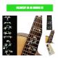 Stickers autocollants incrustation marqueurs manche guitare remontage vigne oiseau