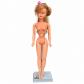 Poup�e mannequin Bella Tressy vintage avec support et cl� d'origine