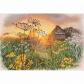 Kit de broderie au point de croix compt� Motif paysage de campagne � travers