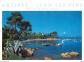 Carte Postale   06   Antibes   Juan les pins   French riviera   CPM   Voir Scans