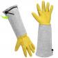 Gants de Jardinage en Cuir Anti Coupure Outils pour Rosiers �pineux   Gris