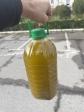 Huile d olive de qualit� sup�rieure