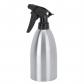 Fditt Bouteille de Pulv�risation en Acier Inoxydable de 500 ML avec Buse