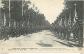 Carte Postale Ancienne   Militaria   D�fil� Militaire sur les Champs Elys�es   A