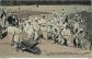 Carte Postale Ancienne   Militaria   Sc�nes de Manoeuvres   Construction d'une b