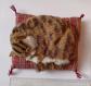d�coration chat coussin