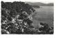 83 Le Pradet Le Pin de Galles Postcard Black And White (1 Pc) France 1960s