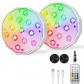Lampe de Piscine Magn�tique 2 Lumiere LED RGB Submersibles Rechargeables