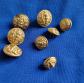 Lot de boutons d'uniforme du Service de Sant� des arm�es fran�aises