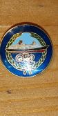 Vends un insigne de collection ancien (militaria - historique).