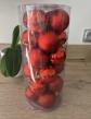 Lot 24 boules de No�l rouges en plastique en tube, d�corations de sapin