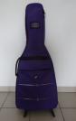 Guitare classique SHIVER GCS 101   Housse, Accord.M�trono., Repose pied, Tr�pied