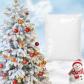 Poudre de Flocon de Neige Autocollante D�coration Sapin de Noel  2 Lbs