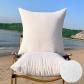 Grands Inserts de Coussins D�coratifs 60x60 Cm Blanc Lot de 2 Polyester Uni