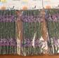 c�coa 3 X  12 pailles papier Angry Cat chat Halloween noir vert violet