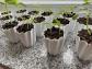 Petit Pot de Fleurs Rainur� Cache Pot Succulente Rebord Fen�tre