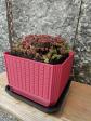Pot de Fleurs Carr� 130 mm Cache Pot Plante Int�rieur Balcon
