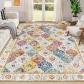 Tapis Salon Poil Ras 160x230 cm Tapis Descente de Lit Chambre Doux Antid�rapant