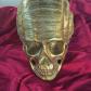 Sculpture d�corative cr�ne Laiton  dor� finition brillante Mod�le Escargot