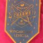 Pancarte suspendue   Charms Class   Wingardium Leviosa   Harry Potter
